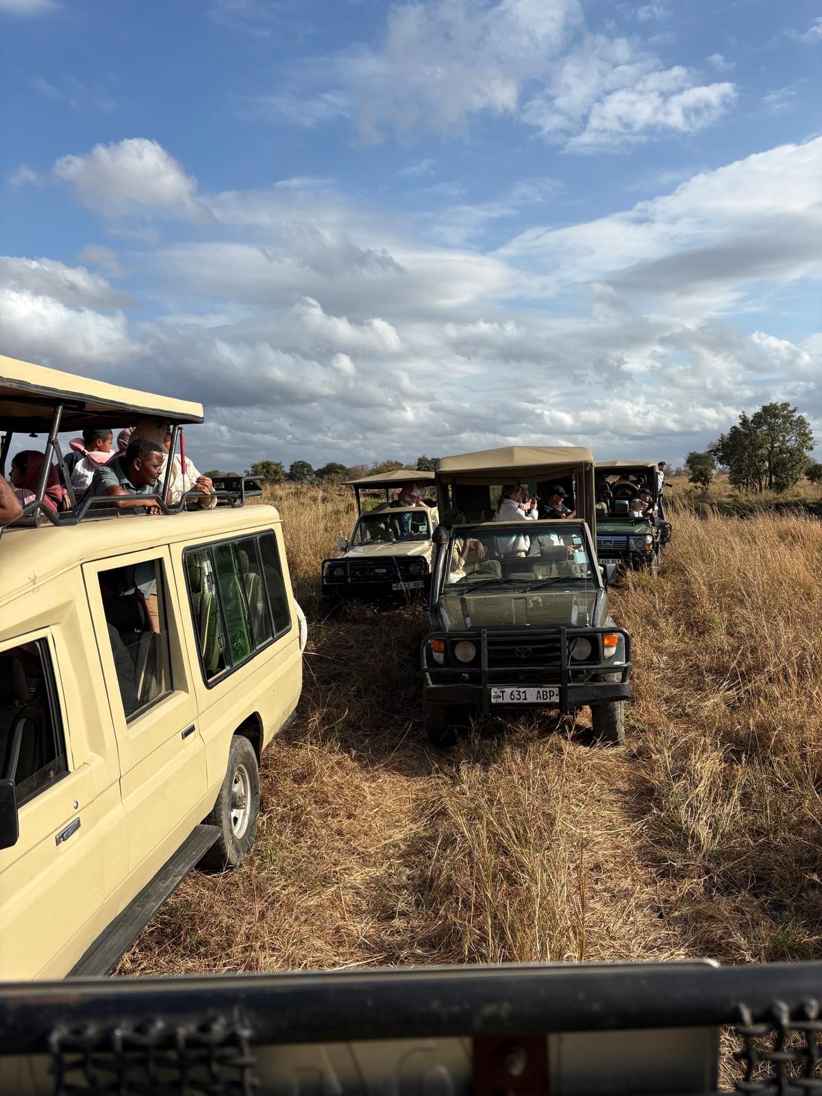 Safari autá na game drive